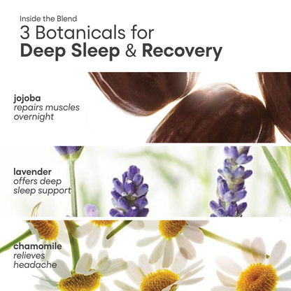 Overnight Recovery Stack